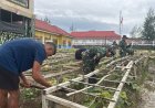 Satgas Yonif 711/Raksatama Ciptakan Oase Hijau di Distrik Tigi